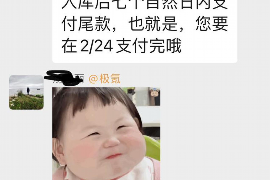 线上信用卡催收:策略、风险与应对之道 线上信用卡催收:策略、风险与应对之道