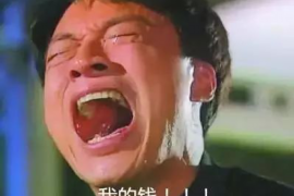 武汉电话上门催收:解读背后的法律风险与应对策略 武汉电话上门催收:解读背后的法律风险与应对策略