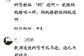搜狗催收怎么样?全面解析其催收流程与效果 搜狗催收怎么样?全面解析其催收流程与效果