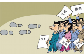 虎林讨债公司:专业高效,为您解决债务难题 虎林讨债公司:专业高效,为您解决债务难题