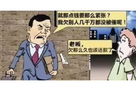 讨债最后却落荒而逃:揭秘债务追收中的困境与应对策略 讨债最后却落荒而逃:揭秘债务追收中的困境与应对策略