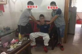 支付宝会被催收吗?解析相关风险与应对之策 支付宝会被催收吗?解析相关风险与应对之策
