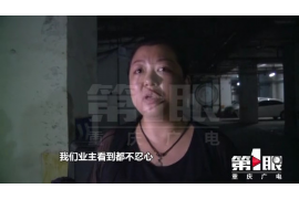 暴力催收联系人赔偿:法律视角下的责任与救济 暴力催收联系人赔偿:法律视角下的责任与救济
