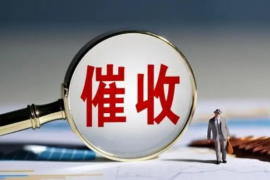 孙俪邓超讨债之路:揭秘明星夫妻的维权历程 孙俪邓超讨债之路:揭秘明星夫妻的维权历程
