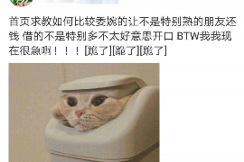大埔讨债公司有哪些平台?全方位解析讨债行业服务 大埔讨债公司有哪些平台?全方位解析讨债行业服务