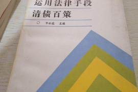 西藏拉萨催收电话号码：专业解读与策略分析
