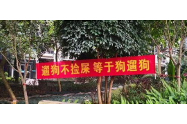 登报公告催收是否有效:法律视角下的分析与案例 登报公告催收是否有效:法律视角下的分析与案例