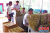 稻城清债公司：专业清债服务，助力企业稳健前行