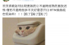 大埔讨债公司有哪些平台？全方位解析讨债行业服务