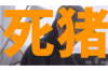 银行能暴力催收吗？