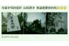 广宗催账公司联系方式