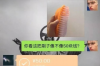 滴水贷催收外包上门：揭秘现代催收模式